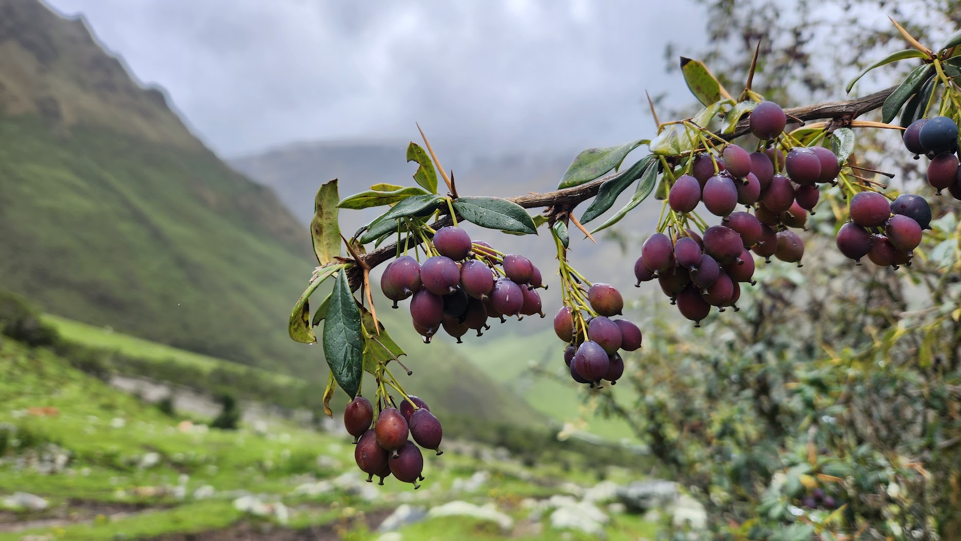 Galería de GRAN VIAJE POR EL PERÚ